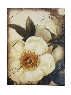 Sid Dickens T-114 “Wild Rose” Memory Block Tile - RETIRED